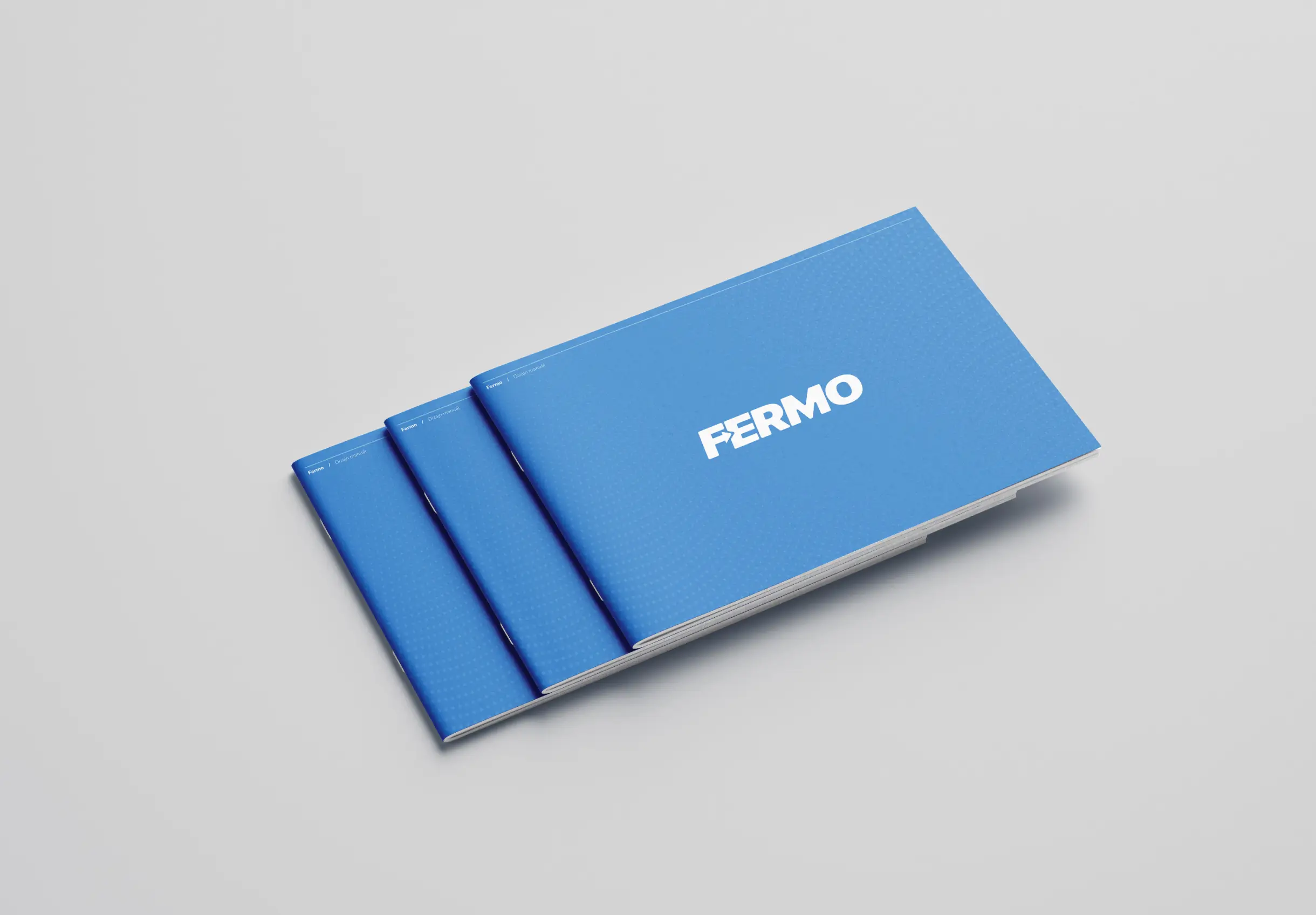 Fermo design manual mockup.