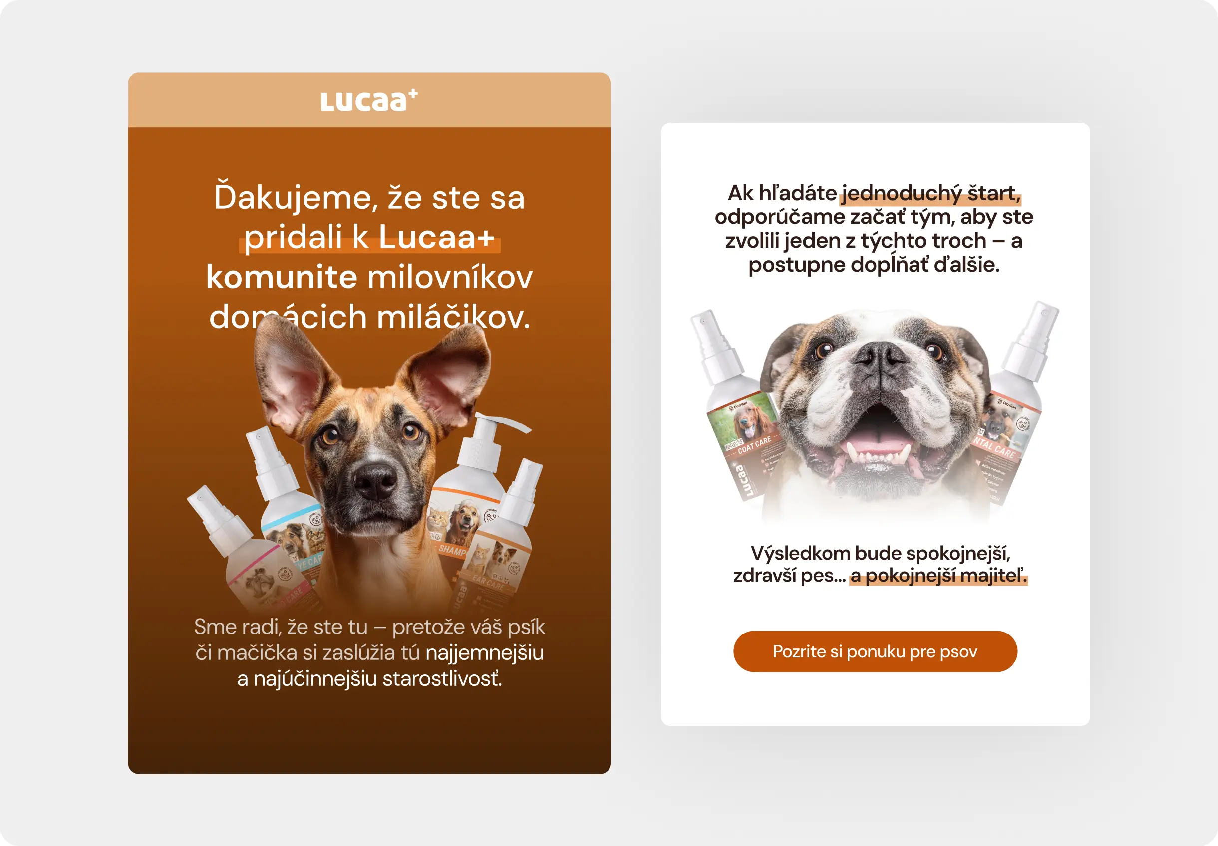 Lucaa+ e-mail design mockup.