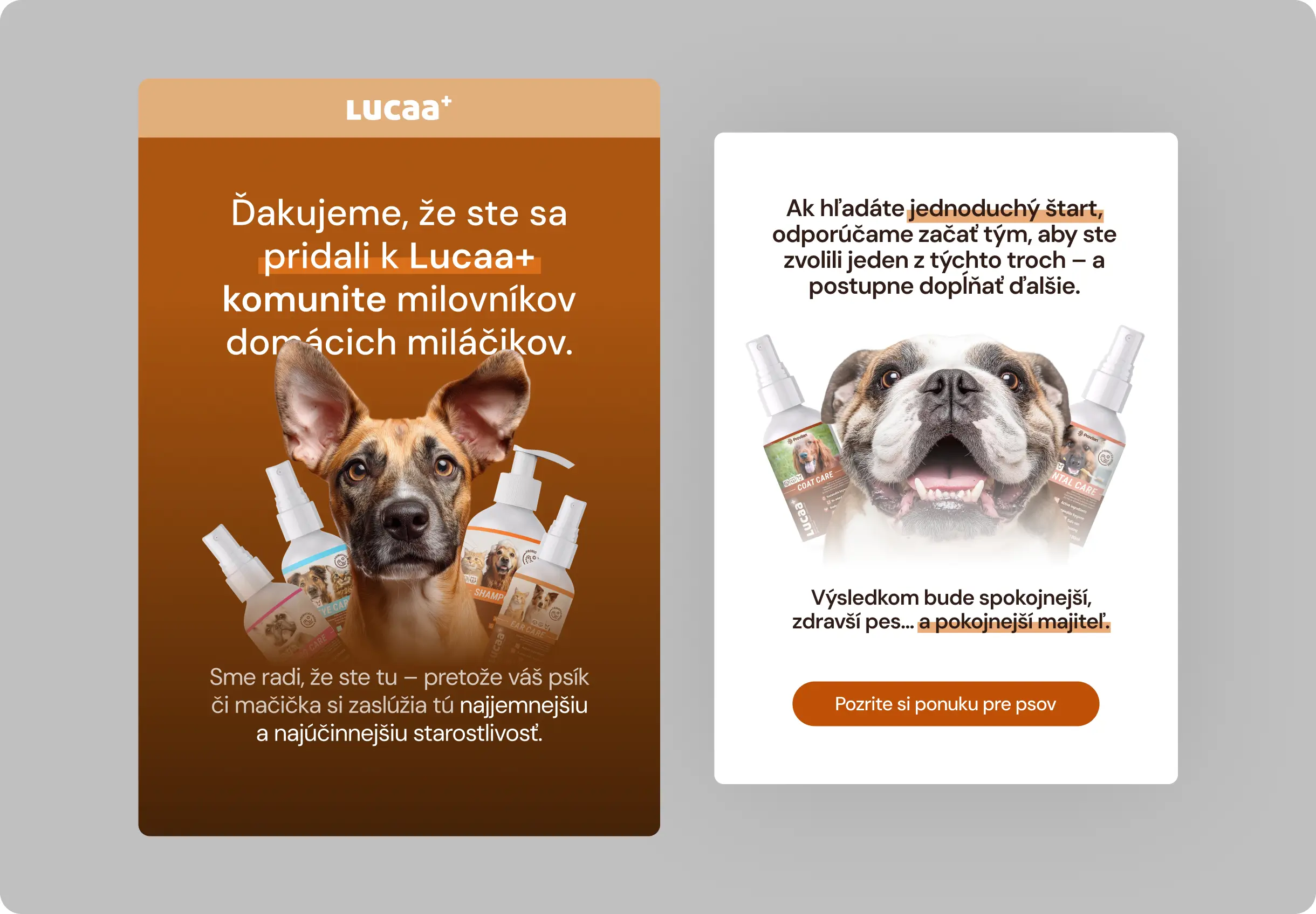 Lucaa+ e-mail mockup.